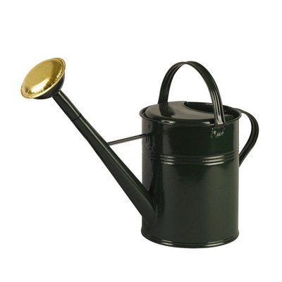 Deluxe Gießkanne 9 Liter Landhausstil Messingbrause Nostalgie Metall grün