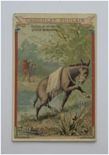 CHROME WAFFLE - CHOCOLATE FOAL - LE MULET DE THALES