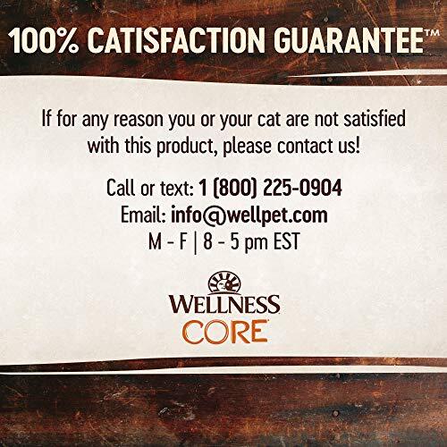 Wellness CORE Tuna Wet Cat Food Grain Free Pouches 12 Pack Protein Rich 1.75oz