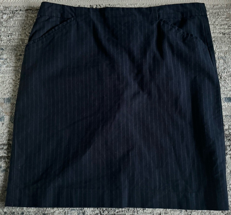 Gap Skirt Womens Size 10 Pinstripe Navy Blue Dress eBay