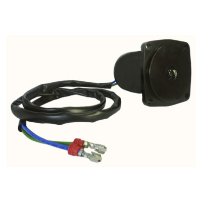 Tilt Trim Motor Pumpenmotor für OMC Evinrude 30hp 40hp 50hp 60hp 2007-2011 