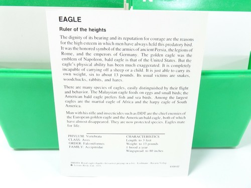 Vintage Illustrated Wildlife Treasury Cards & Case Home School ~ Animals etc - Picture 6 of 6