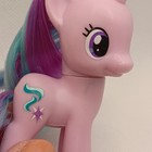 Foto 151 di 177