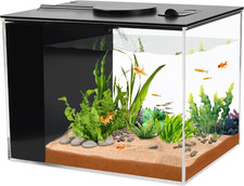 Fish Tank, 1 Gallon Betta Fish Tank, Small Aquarium Kit with LED Light and Water