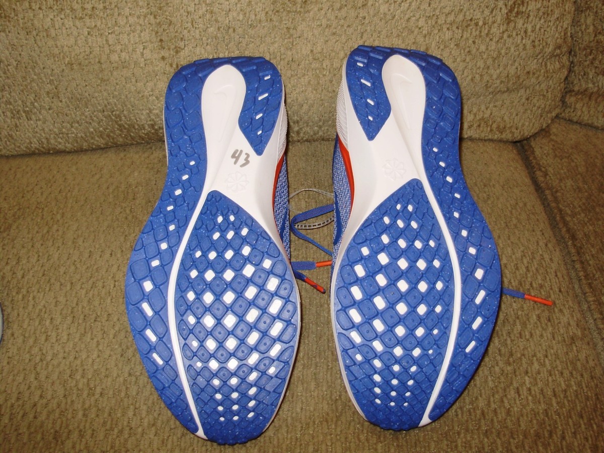 Florida Gators NIKE AIR ZOOM PEGASUS 41 Blue FZ5113-400 