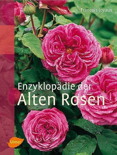 Thumbnail - Enzyklopädie Der Alten Rosen Francois Joyaux