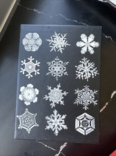 Saks Fifth Ave Photo/Fashion 5 Book Set - Marilyn, Grés, Little Black Dress,More