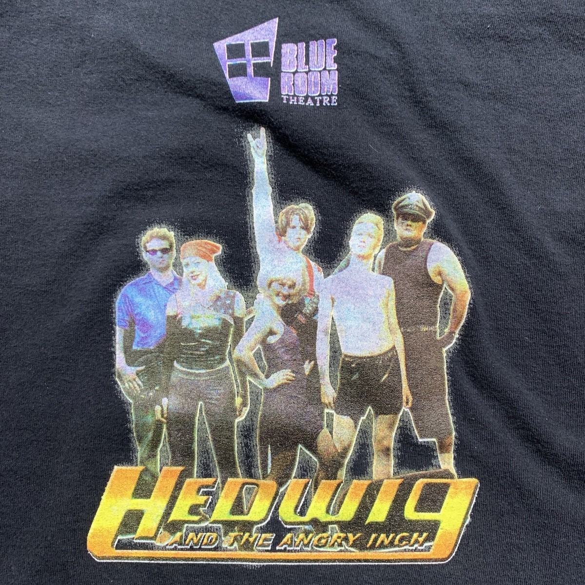 Vtg Hedwig And The Angry Inch Shirt M Movie Promo Tee Musical Blue 