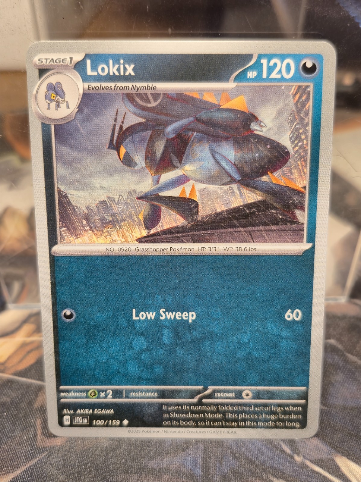Pokemon TCG Lokix NM Uncommon 100/159 Journey Together Scarlet Violet