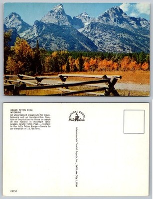 Grand Teton Peak WY Vintage Postcard Autumn Natural Color Mike Roberts