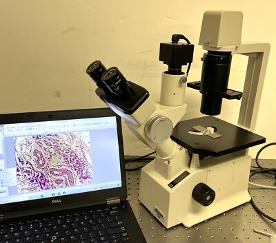 Nikon TMS-F Inverted Phase Contrast CAM Photo Microscope + Guarantee