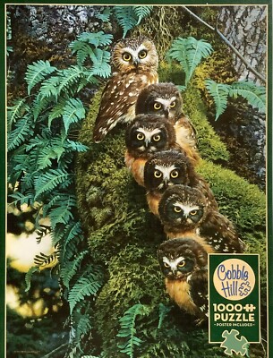 Family Tree HTF COMP 1000 pc Puzzle 6 Owls Sitting on a Tree Very Cute Ferns