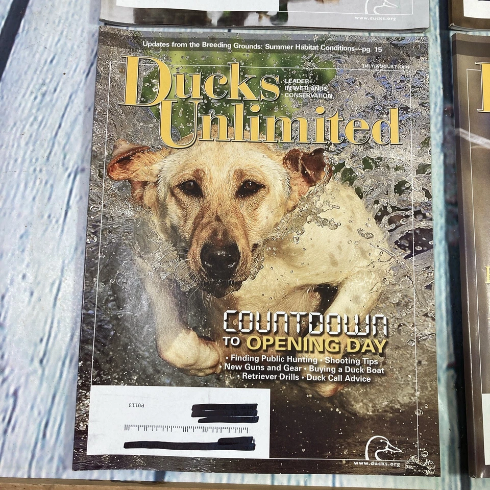 Ducks Unlimited Magazines 2009 Complete Year 6 Issues Lot (Jan.-Dec.) Wetlands - Image 3 of 4