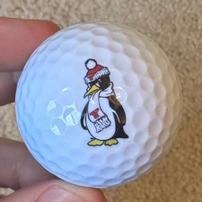 Youngstown State Penguins NCAA Logo Golf Ball (Nitro)