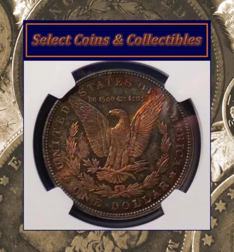 1885-P BU Morgan Silver Dollar NGC MS 62 with Beautiful Rainbow Toning #2005