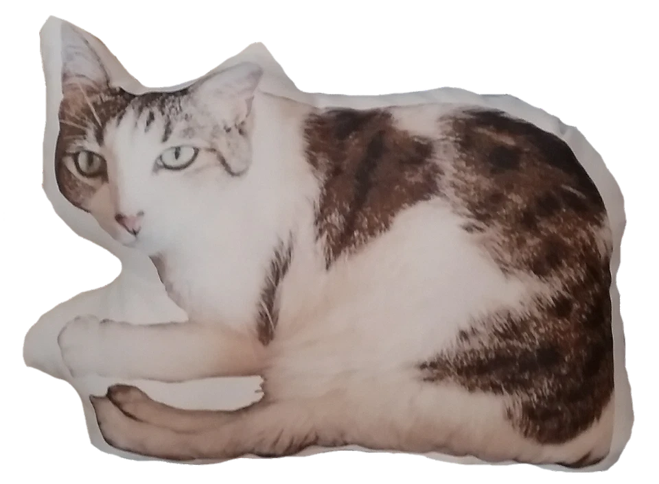 Custom Cat Photo Pillow, Personalized Cat Portrait Pillow, Cat Lover Gift - Image 3 of 4