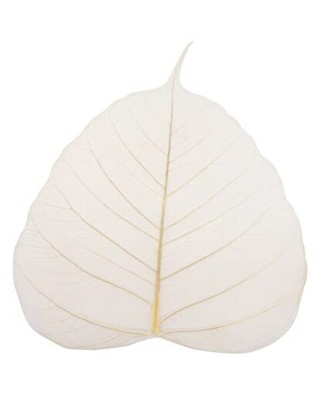 Skeleton Natural Ficus Religiosa Leaves Artificial Leaves Craft Card Scrapbook 