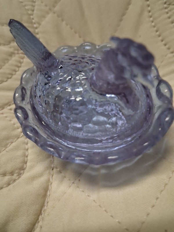 Boyd hen salter lavender with dark lavender accents ^^AMAZING COLOR^^