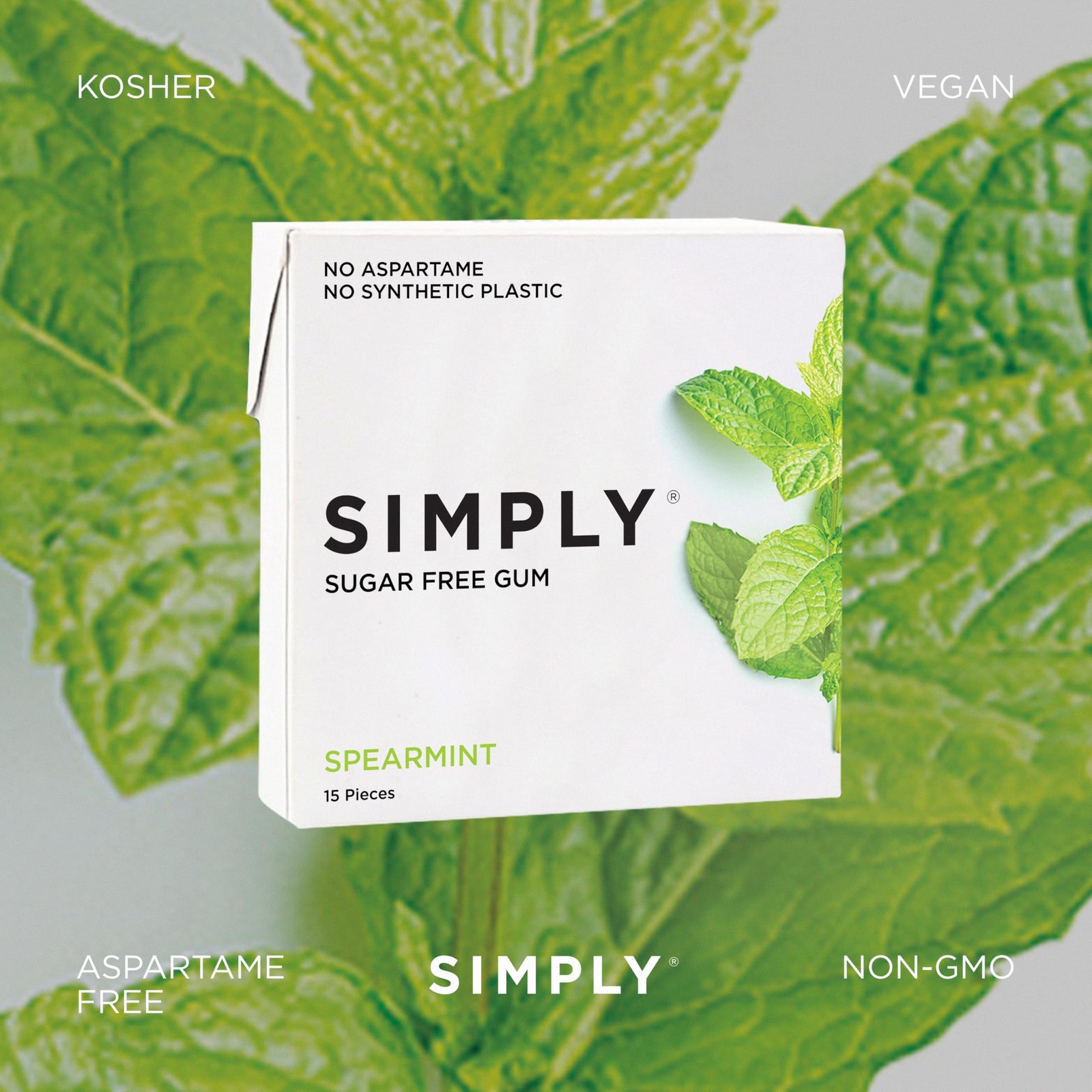 Simply Gum | Sugar Free Xylitol Chewing Gum | Spearmint | Pack of Six (90