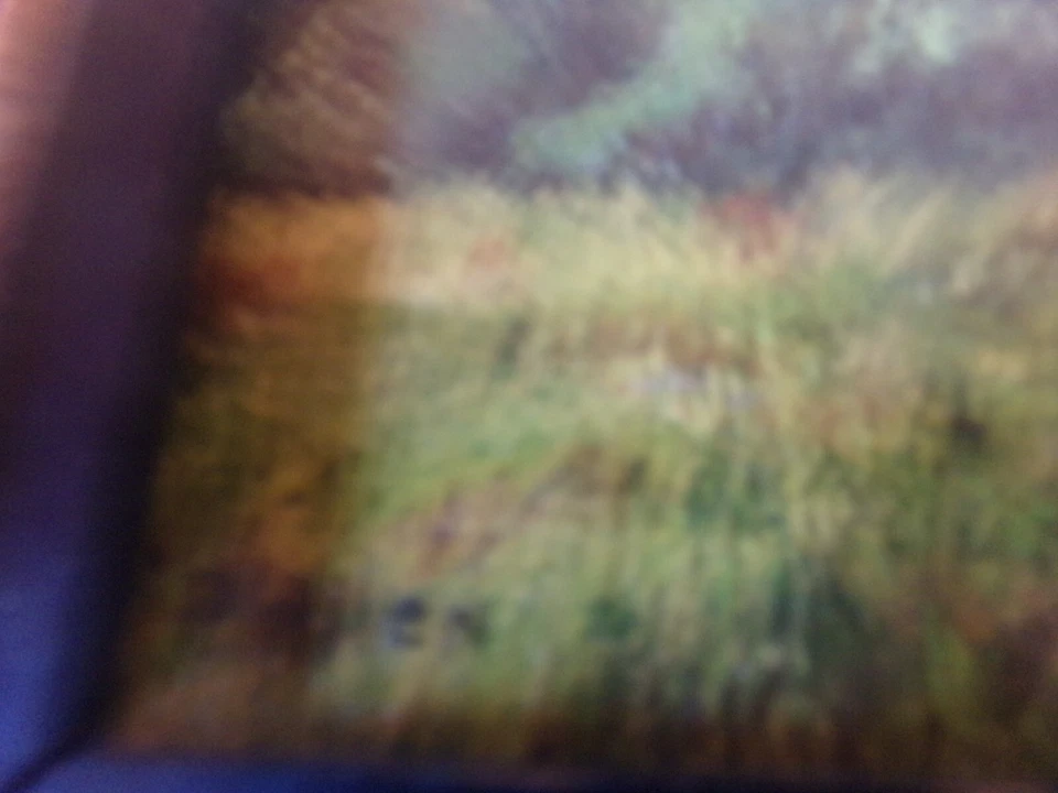 Original P.ALLEN Country Road, lona - Imagem 3 de 4