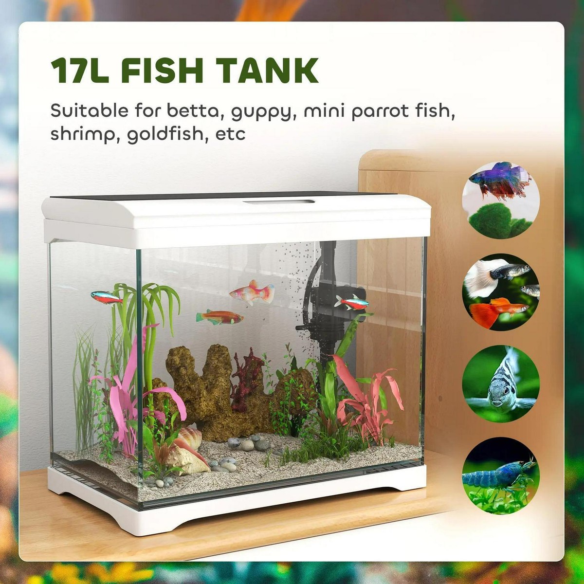 Tropisch aquarium met LED-verlichting en filtersysteem, glas, wit