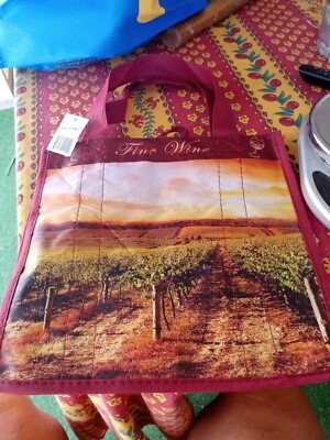 EARTHWISE 6 Bottle Reusable Wine Tote Bag - BURGUNDY