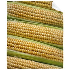 Corn Blanket Funny Food Throw Blanket for Sofa Chairs Bed, Good Blanket Gift,...