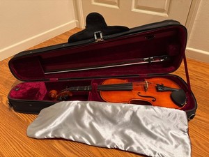 Samuel Eastman Violin Vl100 | eBay