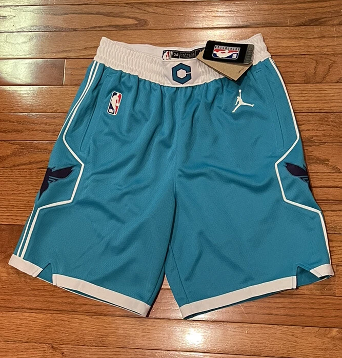 Jordan Charlotte Hornets Association Edition Swingman