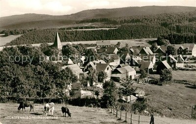 Neuastenberg Town View Cattle Pasture