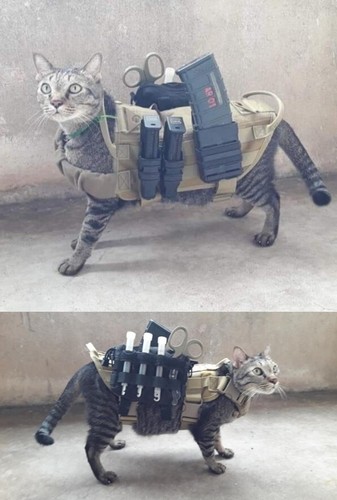 Tori Factory 1/35 Tactical Cat Resin Figure Model Kit #MF-44A - Picture 12 of 12