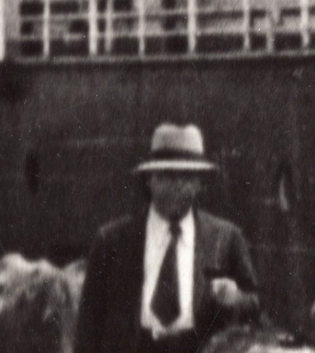 Libyen Tripolis Kühe Rind bereit für Bord Schiff altes Foto 40er Jahre? - Bild 2 von 4