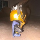 Bild 174 von 691
