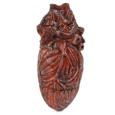 Realistic Human Heart Fake Prop Model for Halloween
