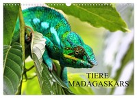 "Calendar 2027 · US Version · Animals Of Madagascar (Wall Calendar 2027 17\" × 12\""