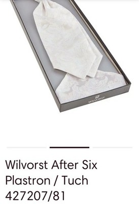 Wilvorst After Six Plastron / Tuch 427207/81 Hochzeit  Einstecktuch Ivory