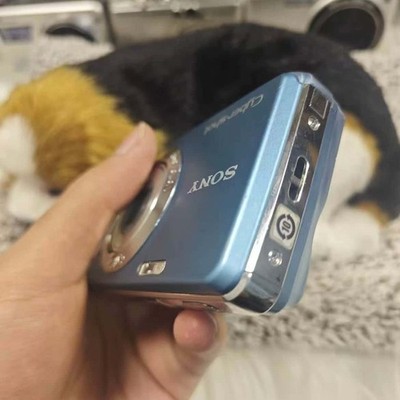Sony Cyber-Shot DSC-W220 Digital Camera Tested W/SD Card Charger