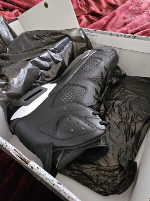 Size 12 - Air Jordan 6 Retro Black Cat for sale online | eBay