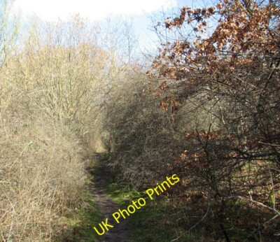 Foto 6x4 Pfad nach Swardeston Common Der Pfad bildet einen Abschnitt der Tas V c2015
