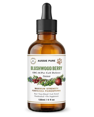 #ad Aussie Pure Blushwood Berry EBC 46 Pet Cell Defense Tincture $89.95