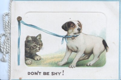 kitten wishes to play with unhappy puppy, artist B. Cobbe, R. Tuck