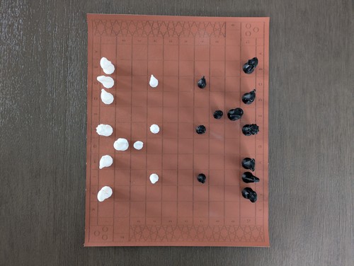 Tamerlane Completed Chess Set Variant aka Full Tamerlane Chess - Picture 3 of 12