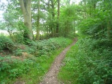 Photo 6x4 Allenmoor Lane Lyde Green/SU7057 I like exploring these old ru c2011