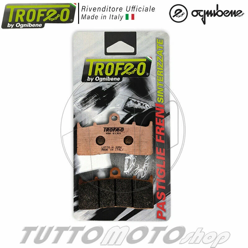 PASTIGLIE FRENO ANTERIORE TROFEO SINTERIZZATE BMW R 1200 R 2006 2007 2008 2009 - Immagine 2 di 4