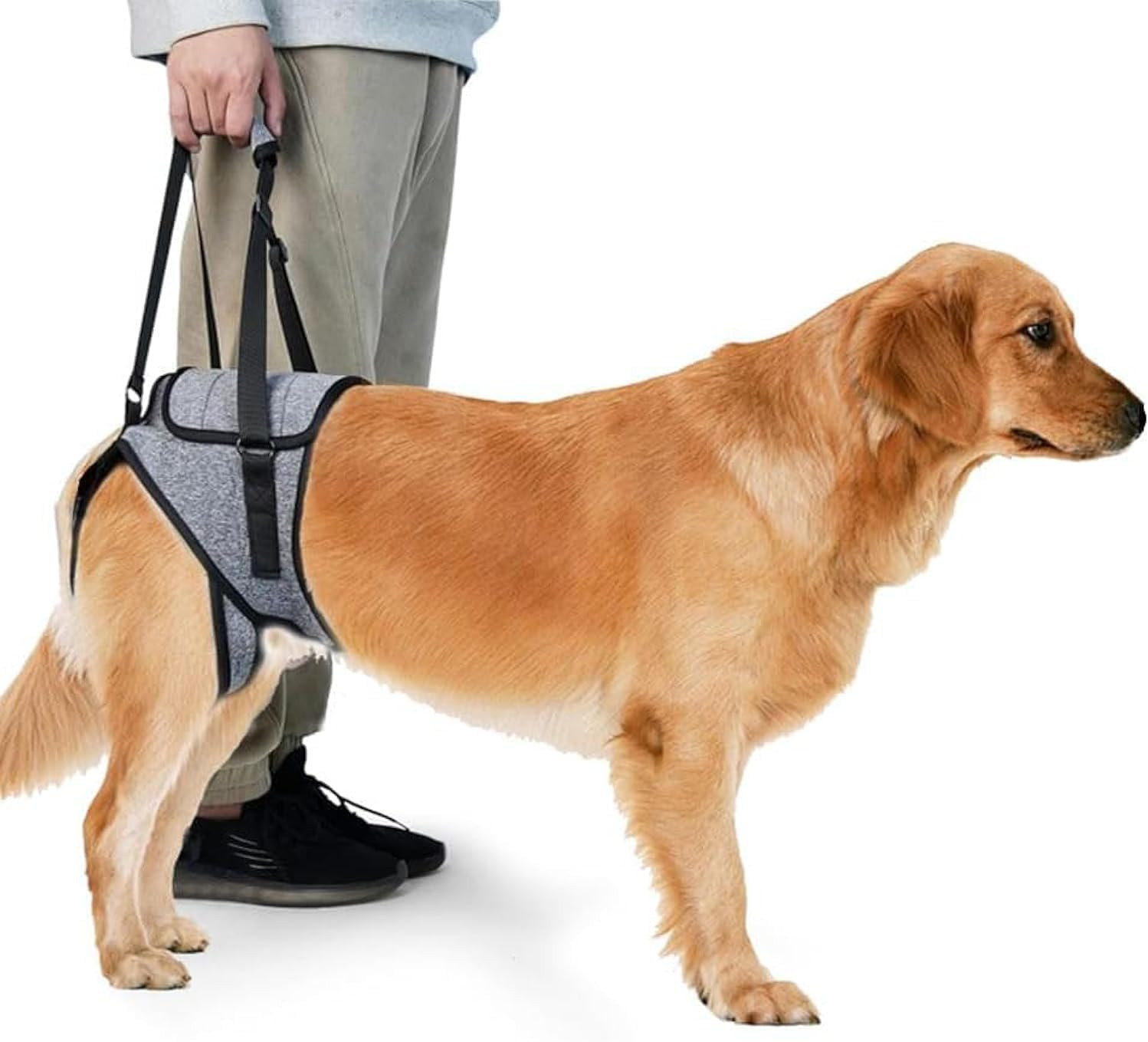 Sollevatore Cane per Auto e Scale | Imbracatura Posteriore Resistente