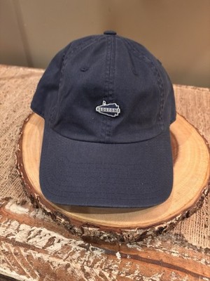 Superior Defense SupDef Navy/White Tank Dad Hat | eBay