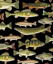 "Gone Fishing" Lake Fish, Fishing Fabric-100 Cott 1 yd BTY Blk/Multi Fast Ship
