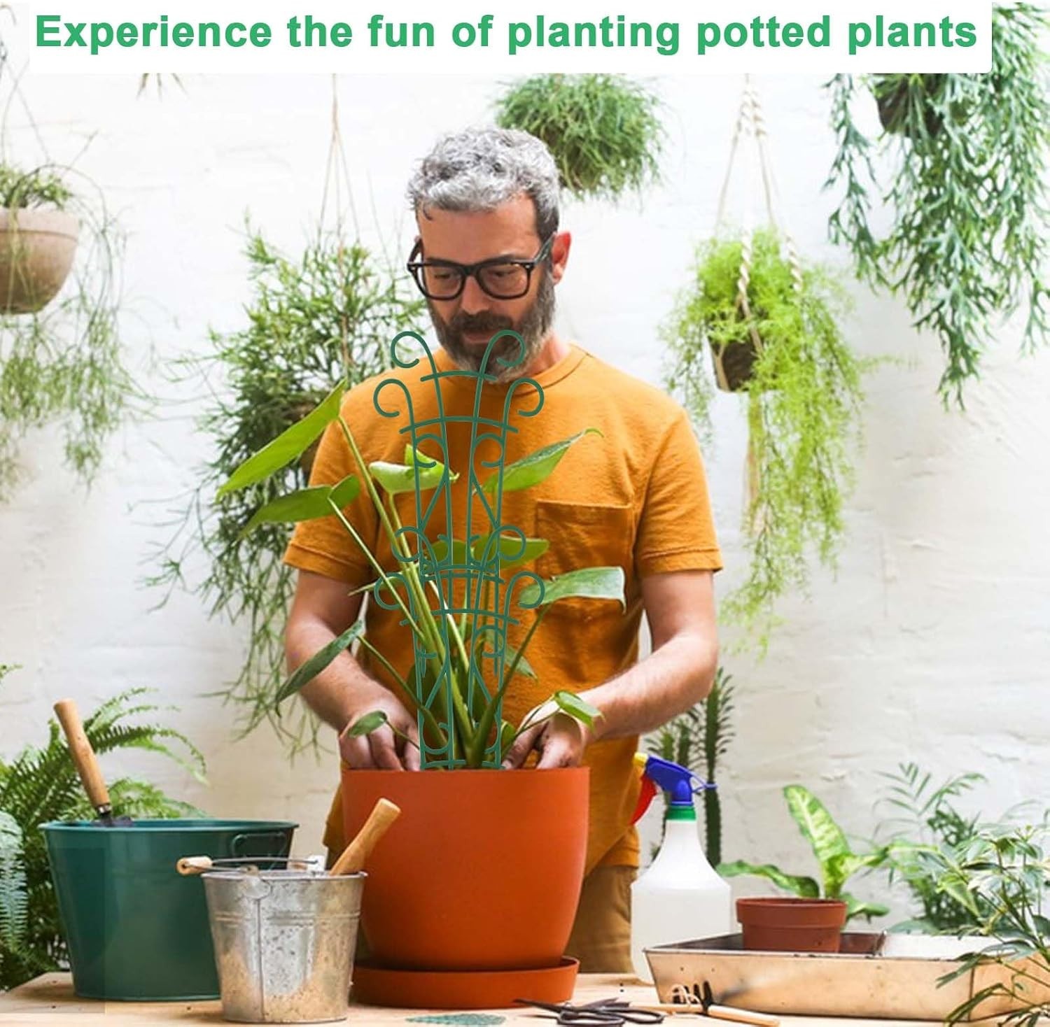 Indoor Plant Trellis for Climbing Plants, 8 Pack Garden Trellis for Potted Plant