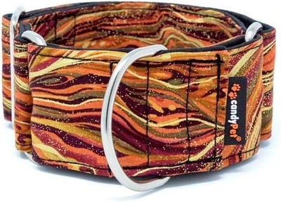 Martingale Dog Collar - New Waves, M