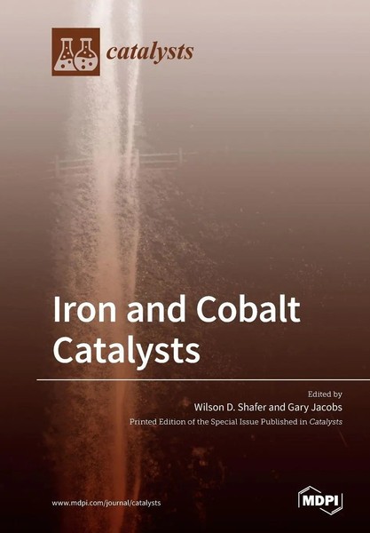 Iron And Cobalt Catalysts | Taschenbuch | Englisch (2020) | Mdpi Ag-image